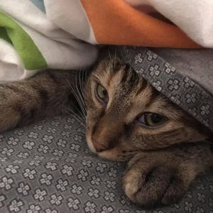 Meet your Posher, Dana